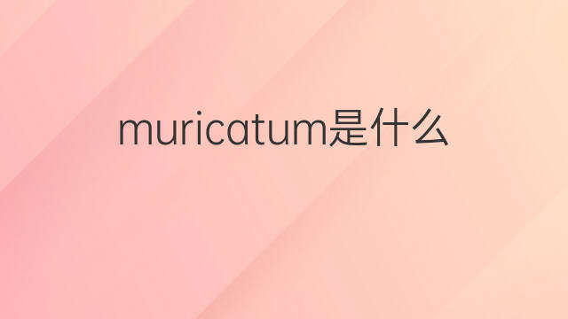 muricatum是什么意思 muricatum的中文翻译、读音、例句