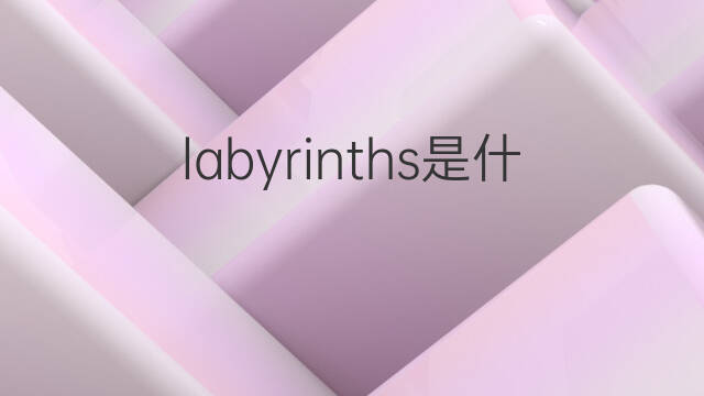 labyrinths是什么意思 labyrinths的中文翻译、读音、例句