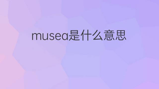 musea是什么意思 musea的中文翻译、读音、例句