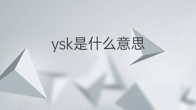 ysk是什么意思 ysk的中文翻译、读音、例句