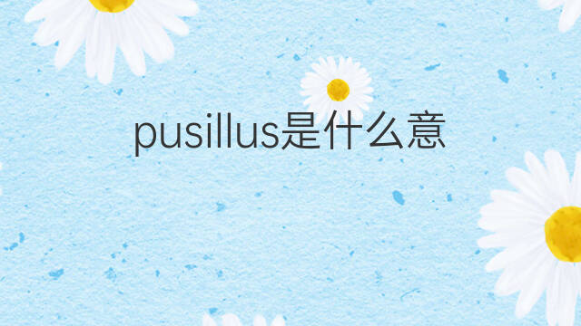 pusillus是什么意思 pusillus的中文翻译、读音、例句