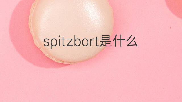spitzbart是什么意思 spitzbart的中文翻译、读音、例句