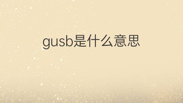 gusb是什么意思 gusb的中文翻译、读音、例句