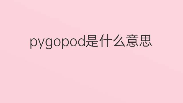 pygopod是什么意思 pygopod的翻译、读音、例句、中文解释