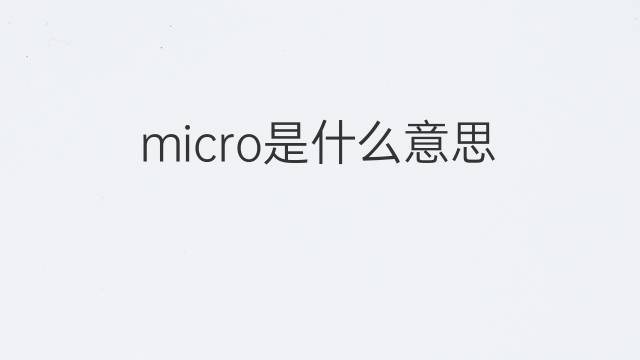 micro是什么意思 micro的中文翻译、读音、例句