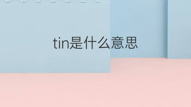 tin是什么意思 tin的中文翻译、读音、例句