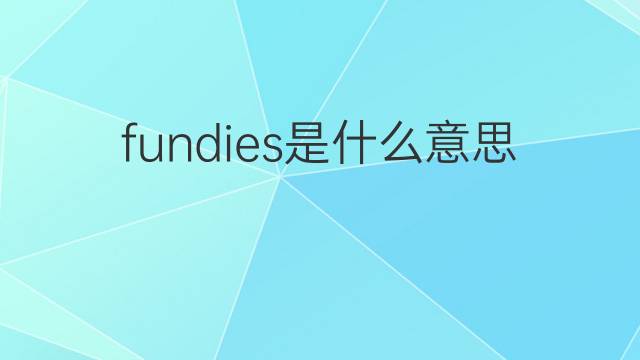 fundies是什么意思 fundies的中文翻译、读音、例句