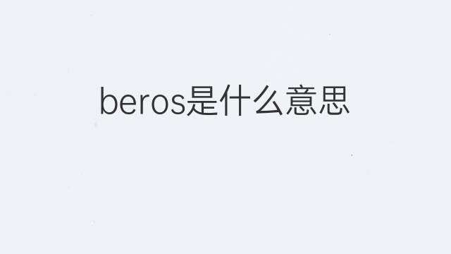 beros是什么意思 beros的中文翻译、读音、例句