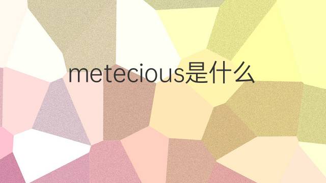 metecious是什么意思 metecious的中文翻译、读音、例句