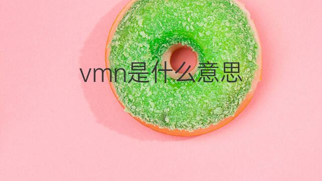 vmn是什么意思 vmn的中文翻译、读音、例句