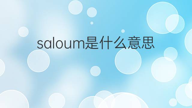 saloum是什么意思 saloum的中文翻译、读音、例句