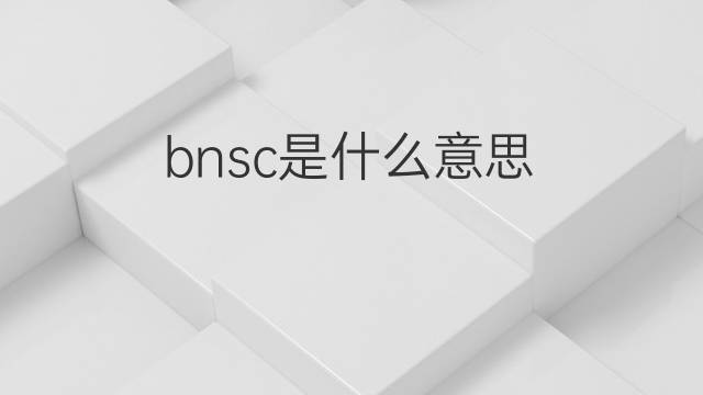 bnsc是什么意思 bnsc的翻译、读音、例句、中文解释