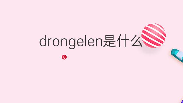 drongelen是什么意思 drongelen的中文翻译、读音、例句