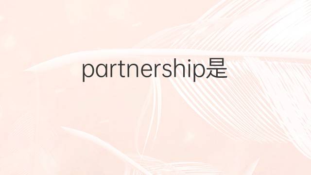 partnership是什么意思 partnership的中文翻译、读音、例句