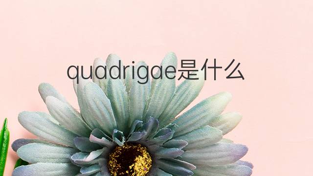 quadrigae是什么意思 quadrigae的中文翻译、读音、例句