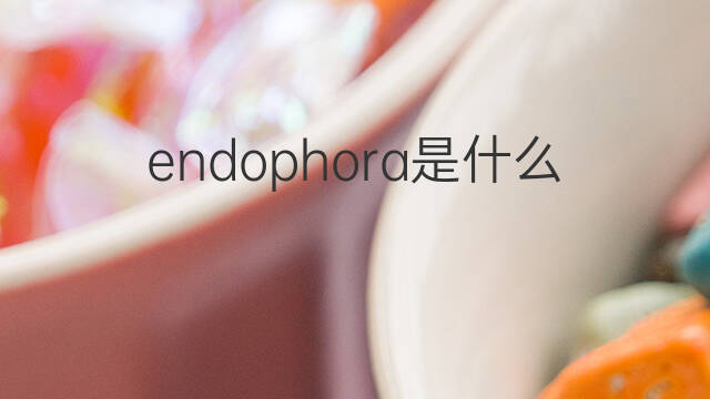 endophora是什么意思 endophora的中文翻译、读音、例句