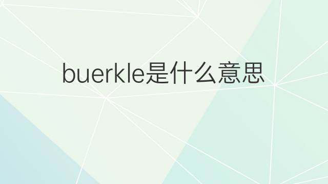 buerkle是什么意思 buerkle的中文翻译、读音、例句