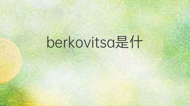 berkovitsa是什么意思 berkovitsa的中文翻译、读音、例句