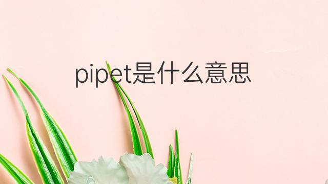 pipet是什么意思 pipet的中文翻译、读音、例句
