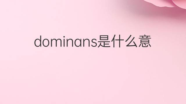 dominans是什么意思 dominans的翻译、读音、例句、中文解释