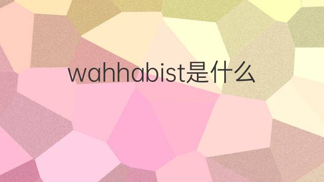 wahhabist是什么意思 wahhabist的中文翻译、读音、例句