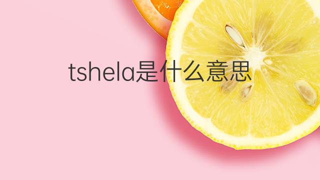 tshela是什么意思 tshela的翻译、读音、例句、中文解释