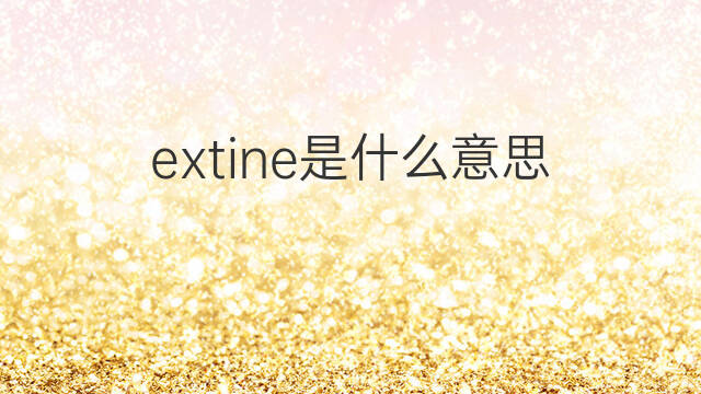 extine是什么意思 extine的中文翻译、读音、例句