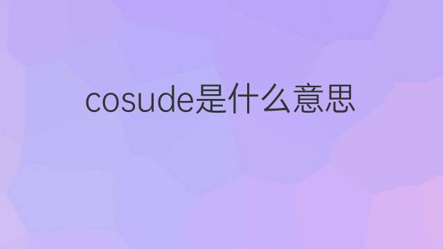 cosude是什么意思 cosude的中文翻译、读音、例句