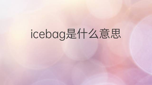 icebag是什么意思 icebag的中文翻译、读音、例句