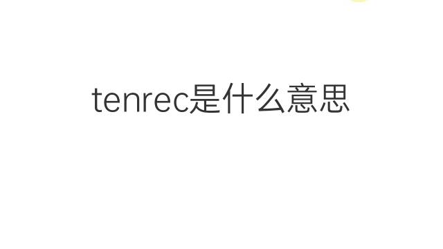 tenrec是什么意思 tenrec的中文翻译、读音、例句