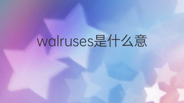 walruses是什么意思 walruses的中文翻译、读音、例句