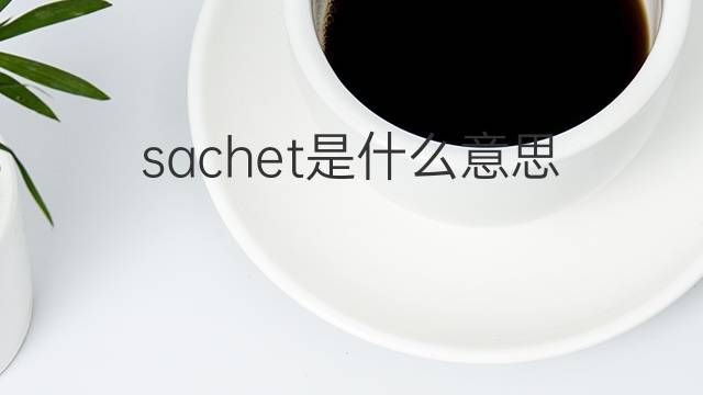sachet是什么意思 sachet的中文翻译、读音、例句
