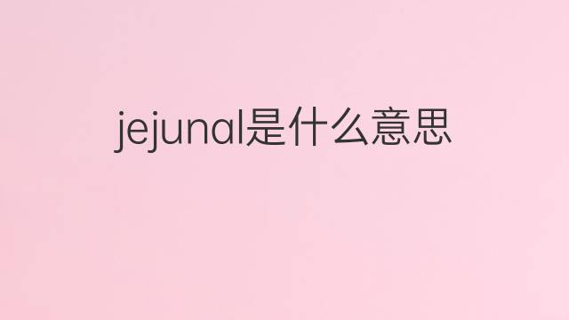 jejunal是什么意思 jejunal的中文翻译、读音、例句