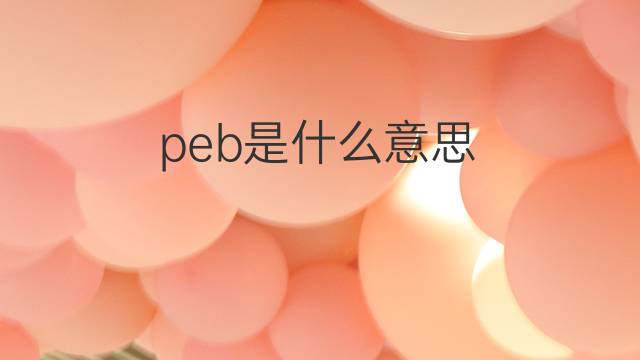 peb是什么意思 peb的中文翻译、读音、例句