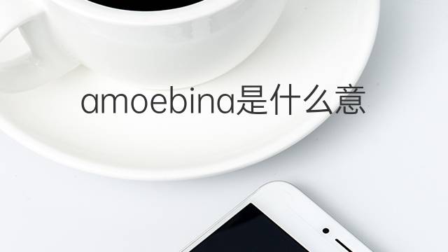 amoebina是什么意思 amoebina的中文翻译、读音、例句