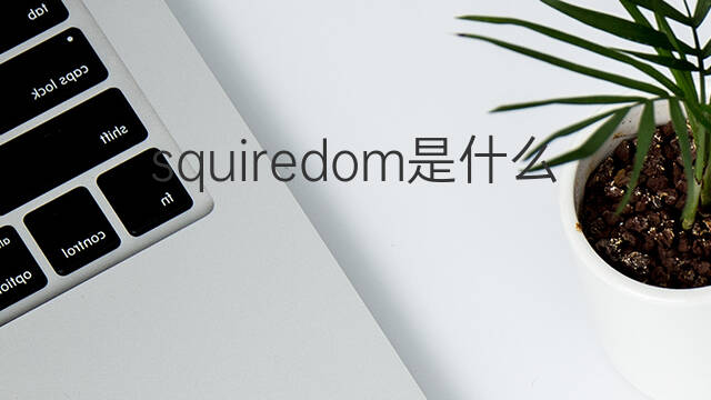 squiredom是什么意思 squiredom的中文翻译、读音、例句