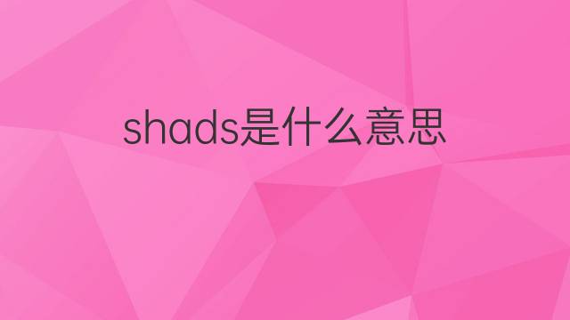 shads是什么意思 shads的中文翻译、读音、例句