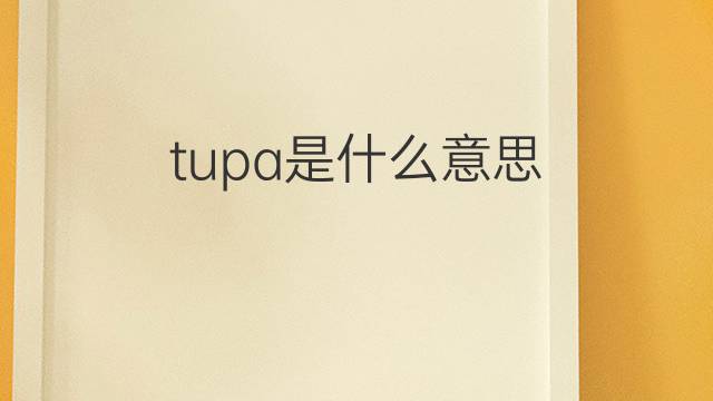 tupa是什么意思 tupa的中文翻译、读音、例句