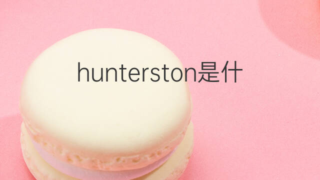 hunterston是什么意思 hunterston的翻译、读音、例句、中文解释