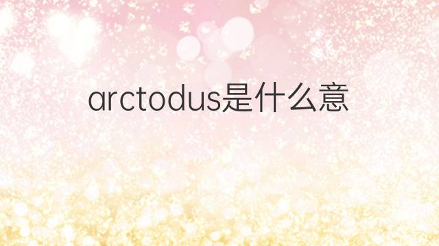 arctodus是什么意思 arctodus的中文翻译、读音、例句