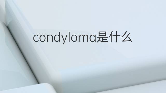 condyloma是什么意思 condyloma的中文翻译、读音、例句