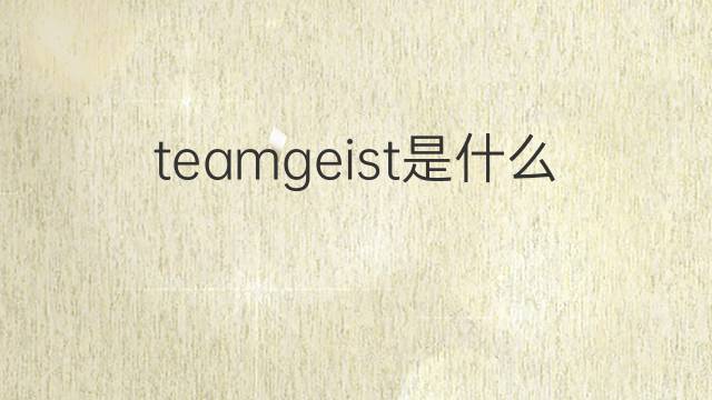 teamgeist是什么意思 teamgeist的翻译、读音、例句、中文解释