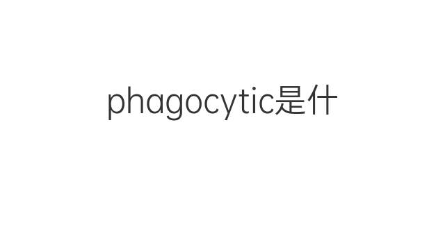 phagocytic是什么意思 phagocytic的中文翻译、读音、例句