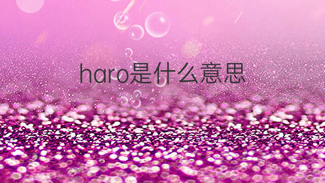 haro是什么意思 haro的中文翻译、读音、例句