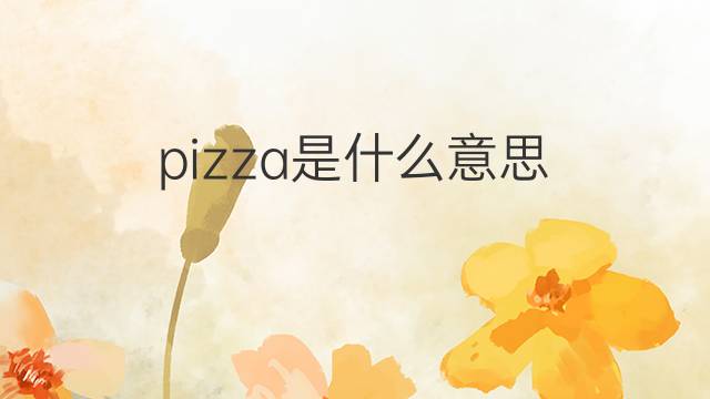 pizza是什么意思 pizza的中文翻译、读音、例句