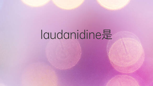 laudanidine是什么意思 laudanidine的中文翻译、读音、例句