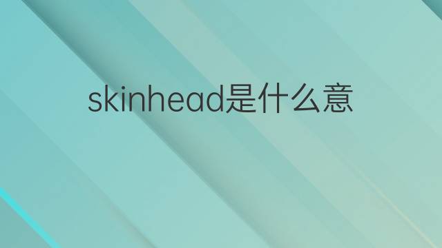 skinhead是什么意思 skinhead的中文翻译、读音、例句