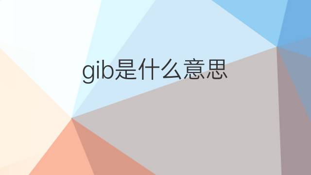 gib是什么意思 gib的中文翻译、读音、例句