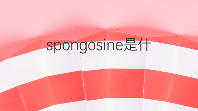 spongosine是什么意思 spongosine的中文翻译、读音、例句