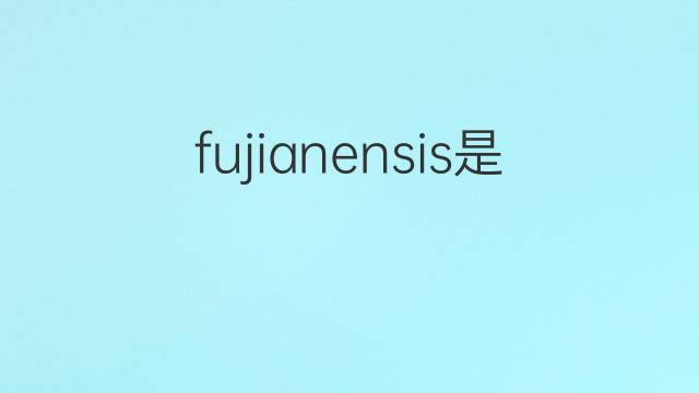 fujianensis是什么意思 fujianensis的中文翻译、读音、例句